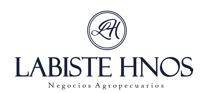 logo1
